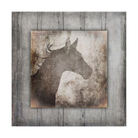 Trademark Fine Art Lightboxjournal 'Gypsy Horse Left Frame.' Canvas Art, 14x14 ALI23760-C1414GG